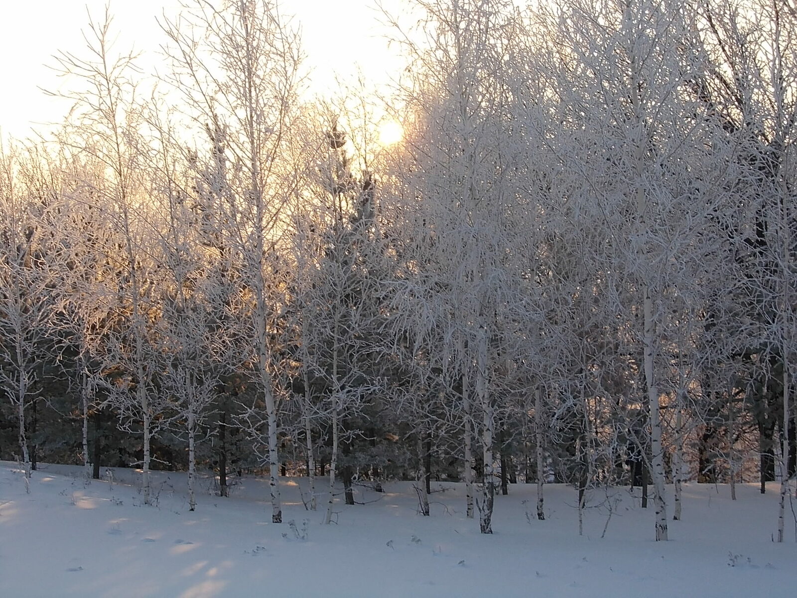 Народные приметы на 28 января