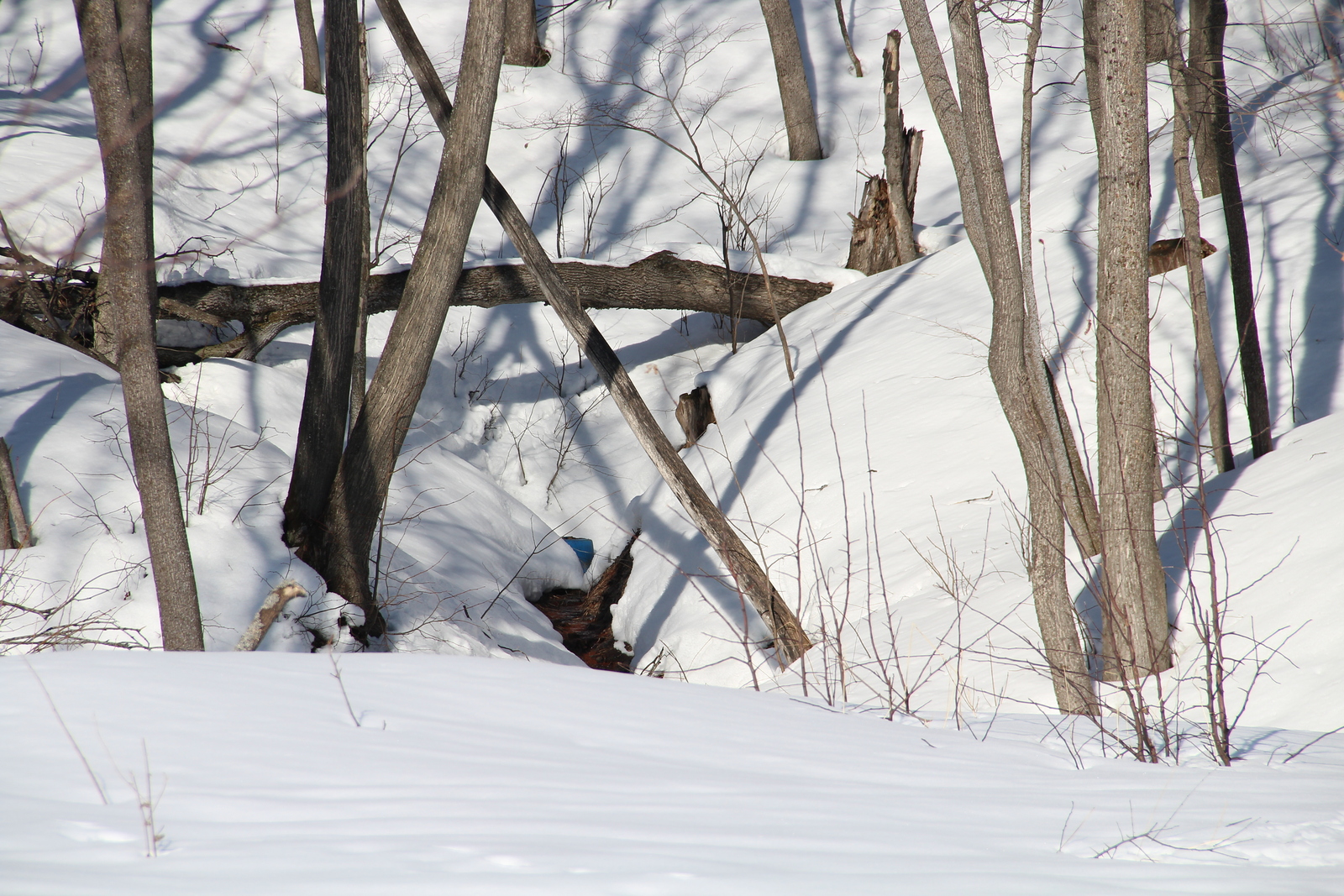 Народные приметы на 3 февраля