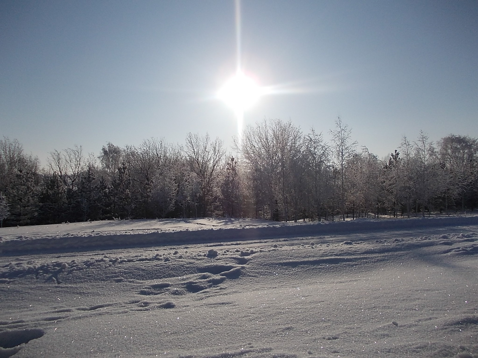 Народные приметы на 29 января: