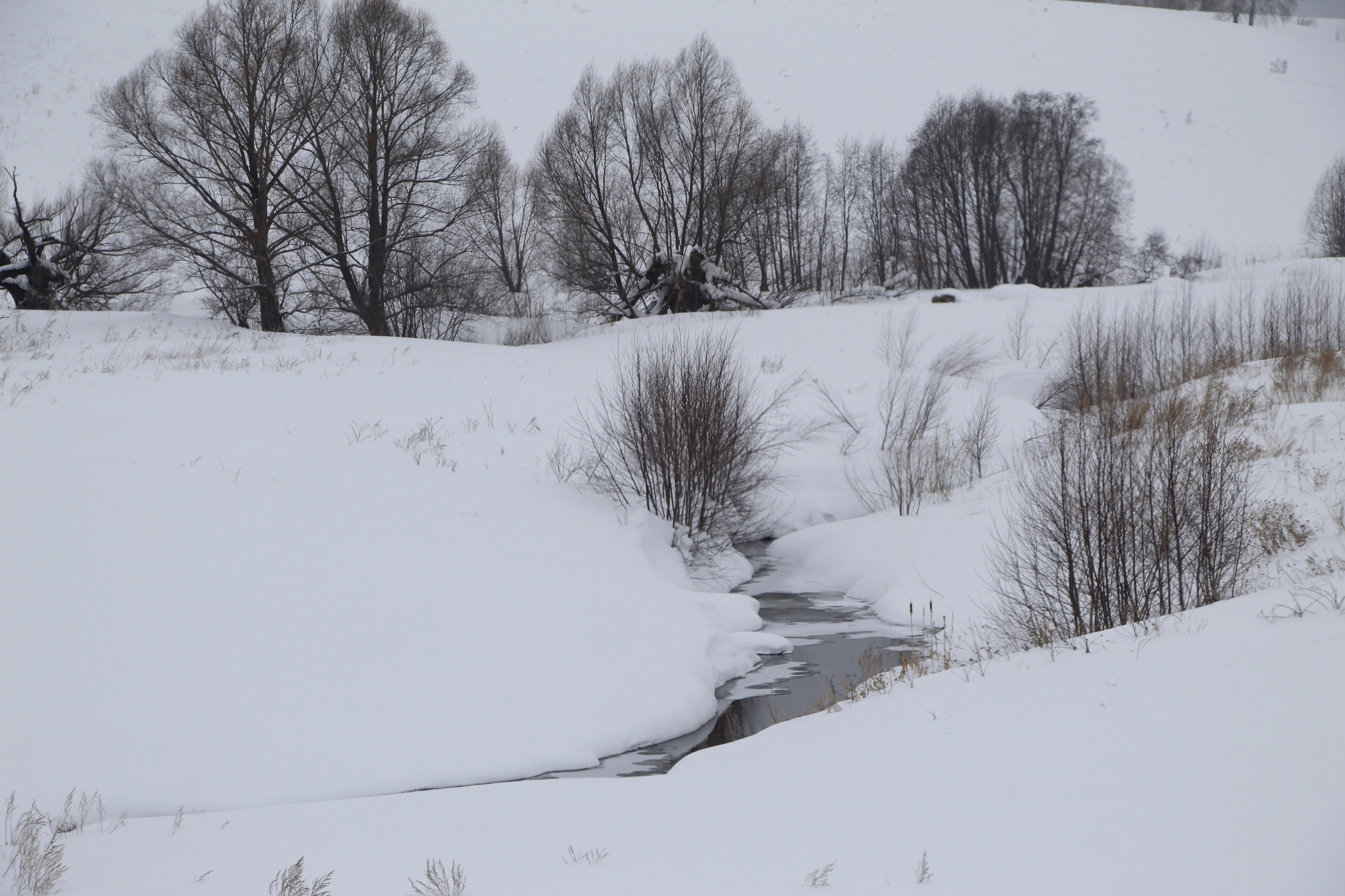 Народные приметы на 27 января
