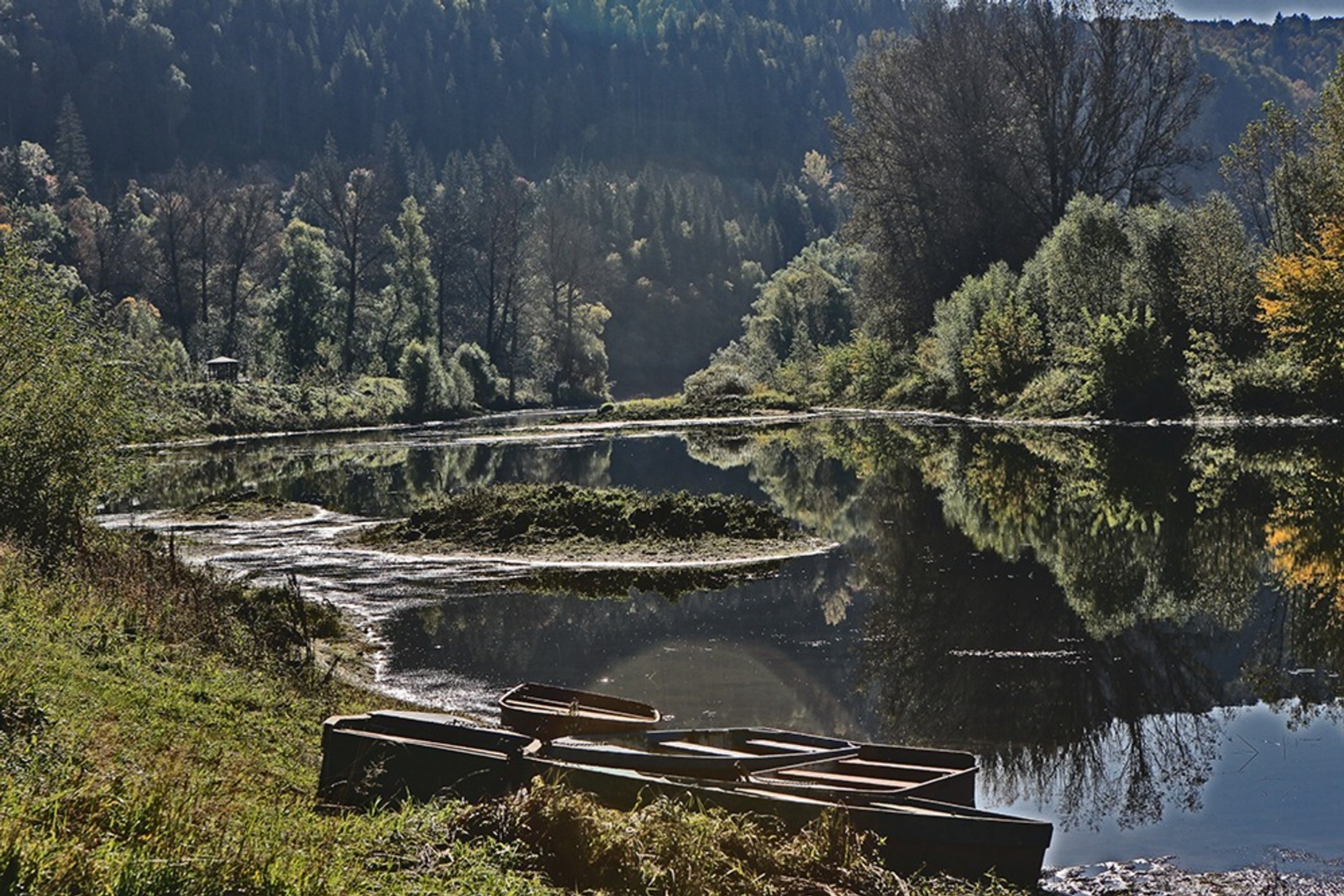 Дайджест постов с 9 по 15 июня – о пчелах, жаре, детском пособии и другом