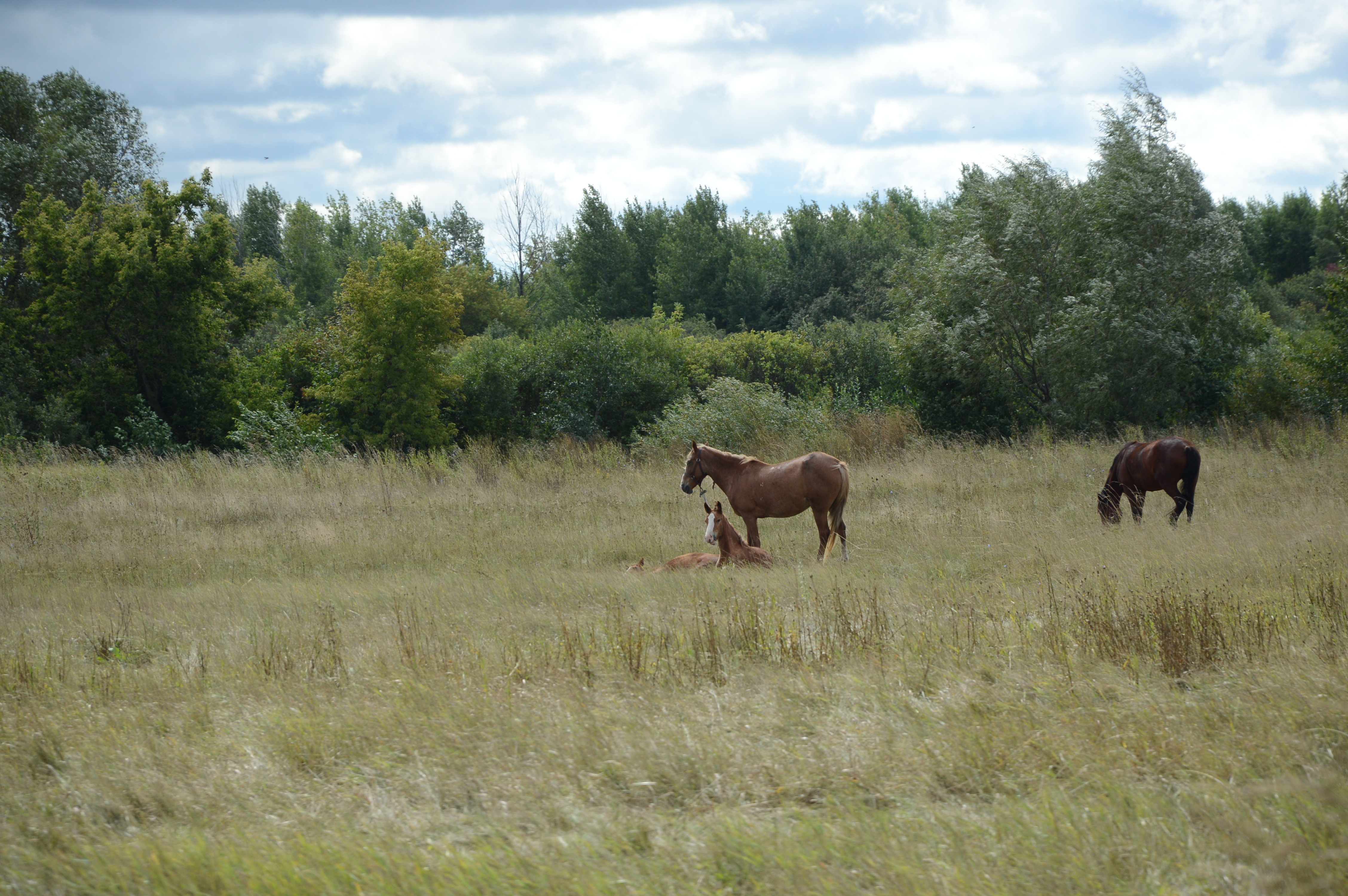 Народные приметы на 22 августа