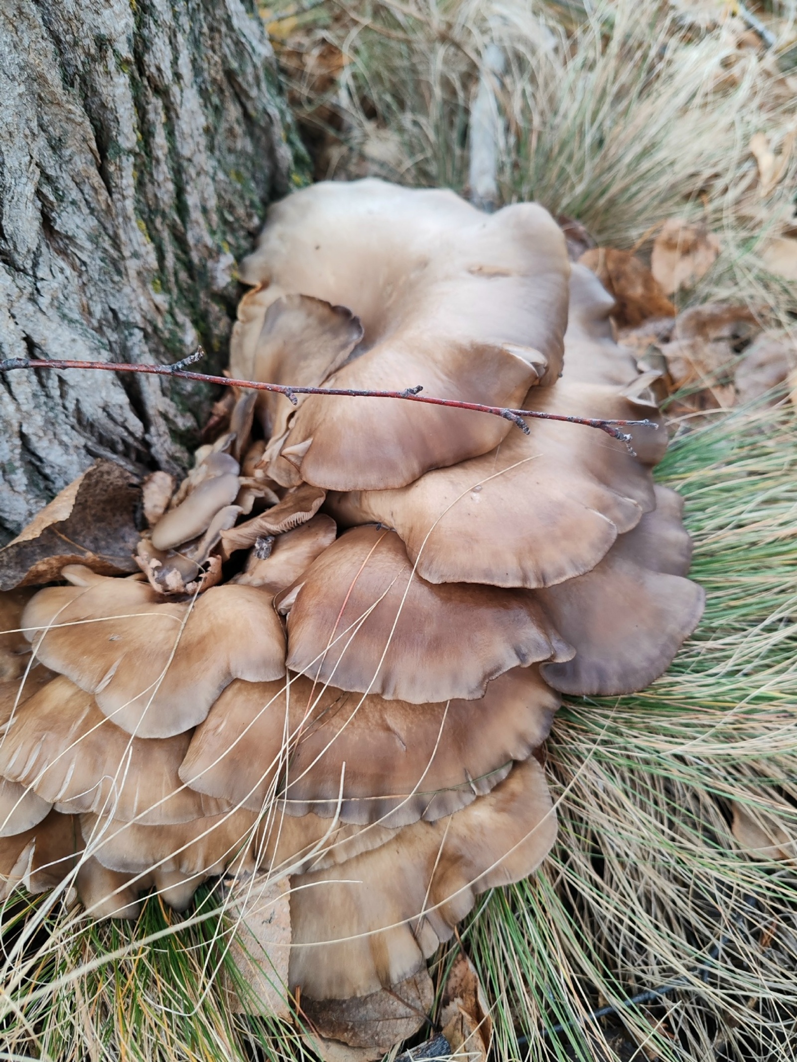 Народные приметы на 22 октября