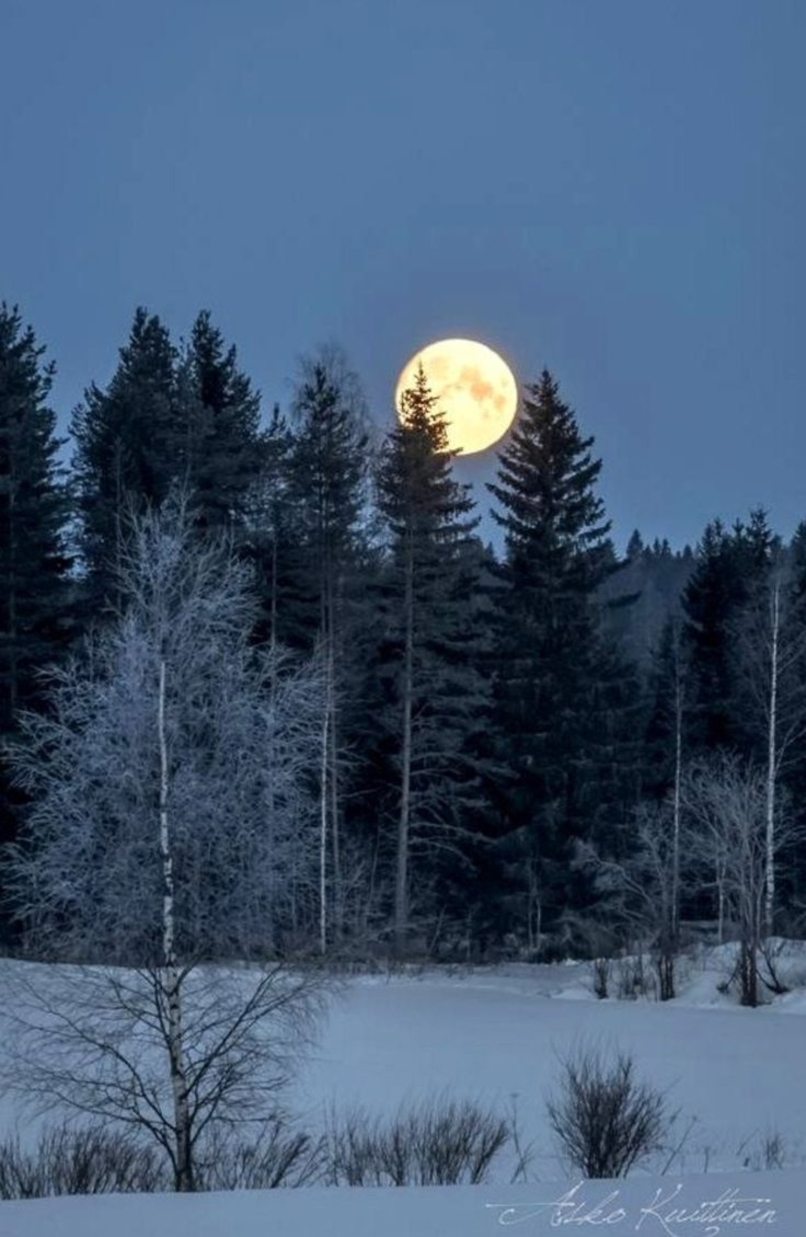 Холодная Луна 8 декабря: что опасно делать в последнее полнолуние 2022 года