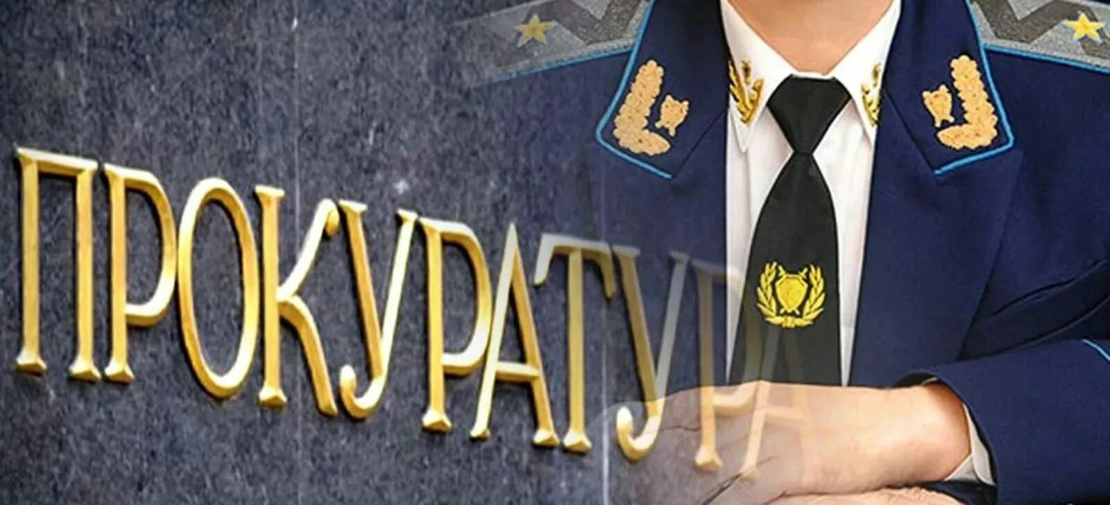 Информацию не предоставили