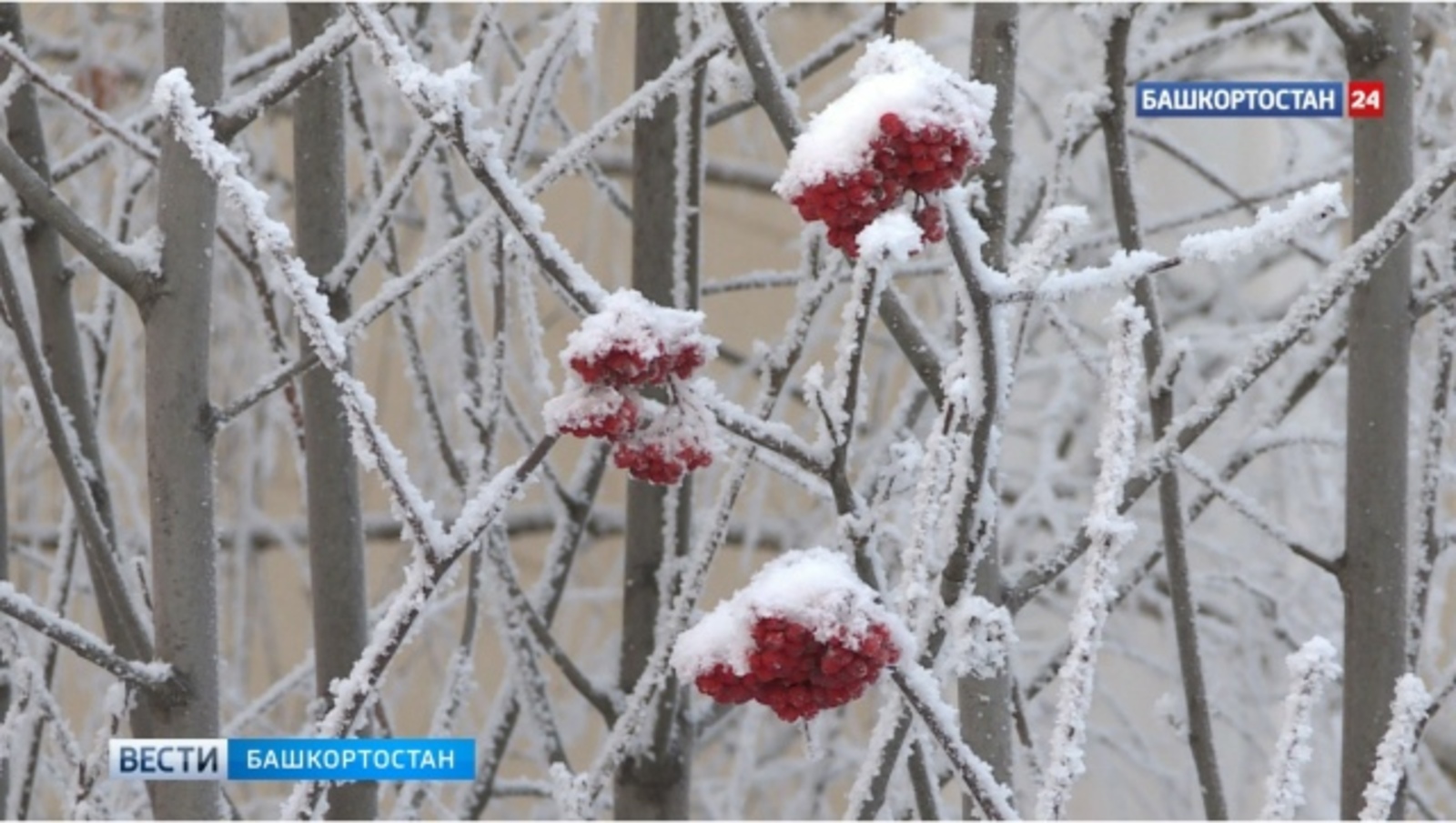 С начала года заповедники Башкортостана посетили 11 тысяч туристов