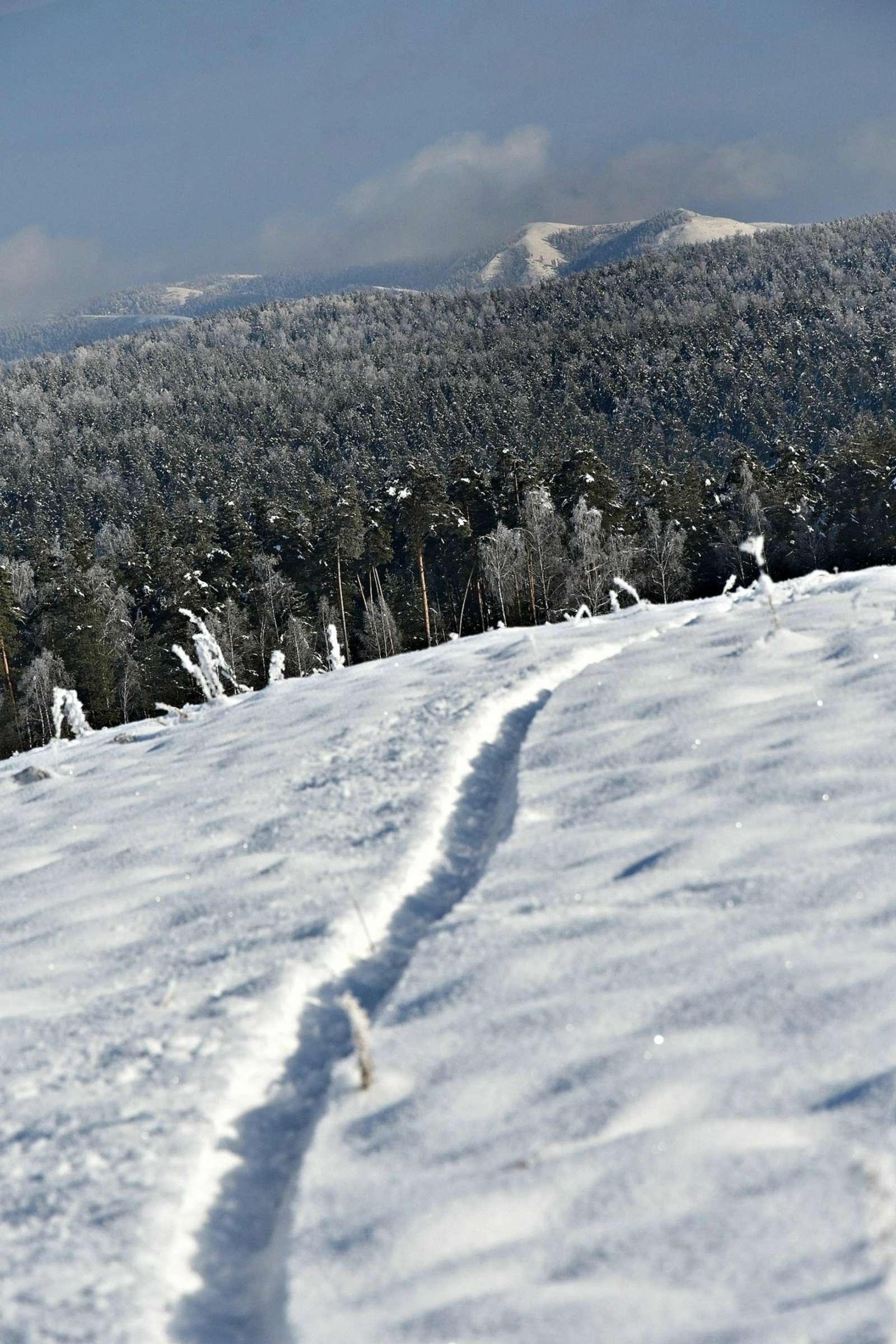 Народные приметы на 25 февраля