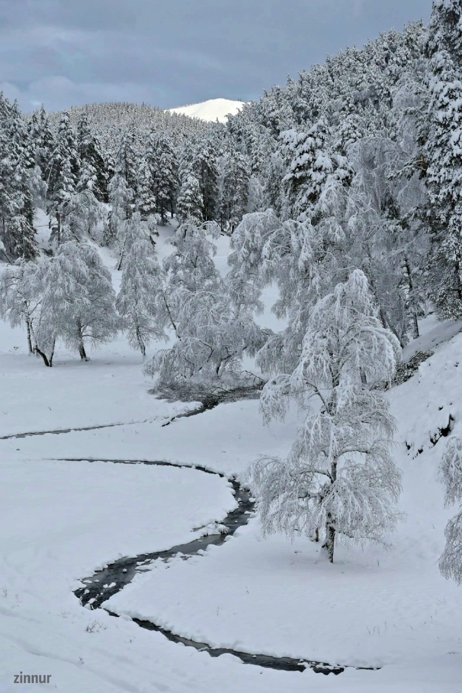 Народные приметы на 30 января