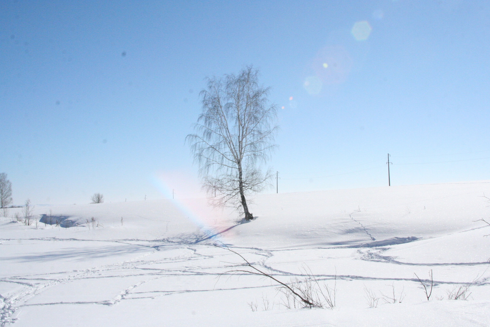 Народные приметы на 20 января