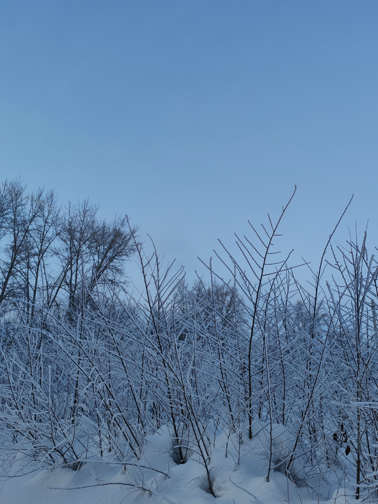 Народные приметы на 26 января