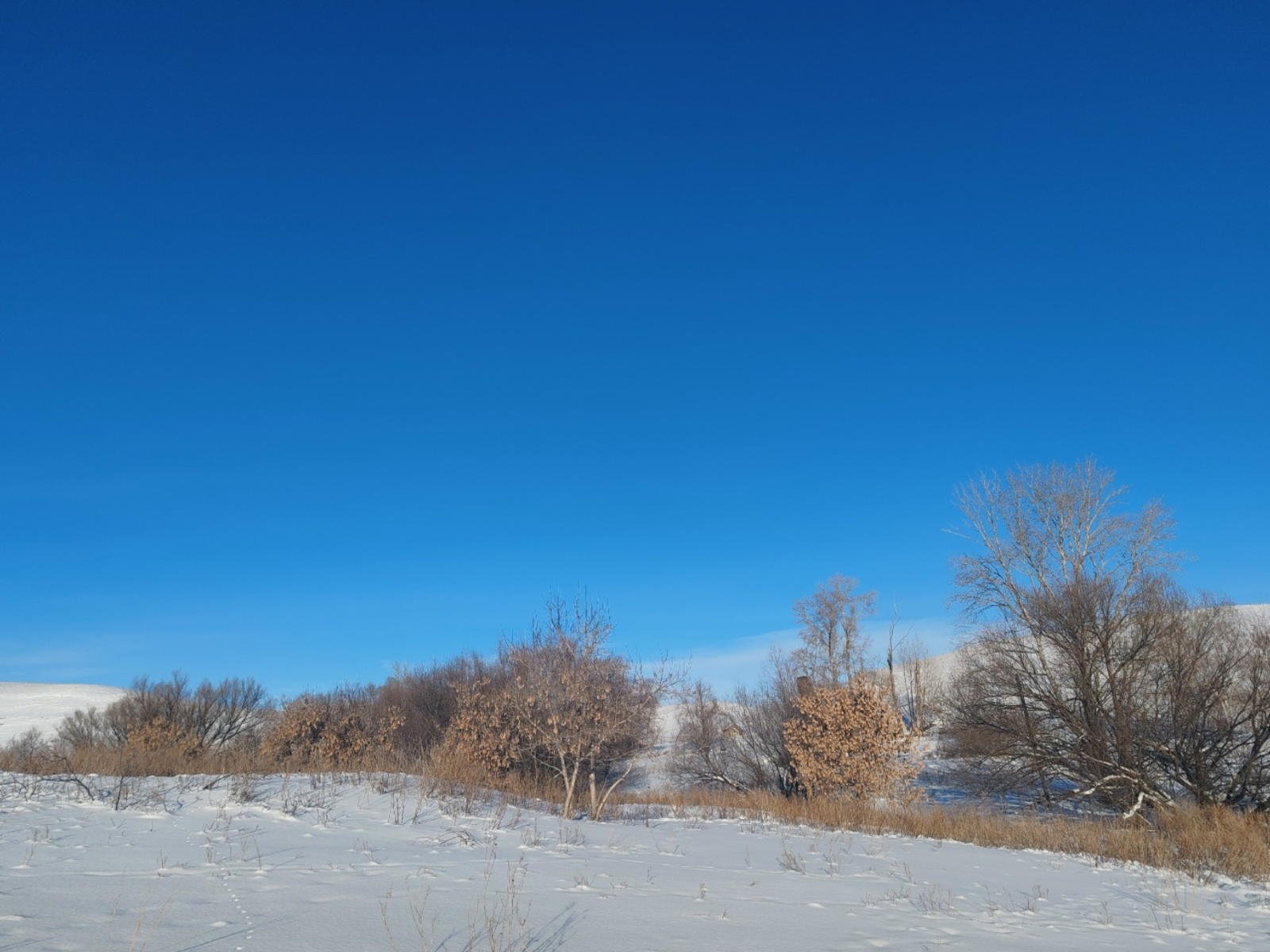 Народные приметы на 15 января: