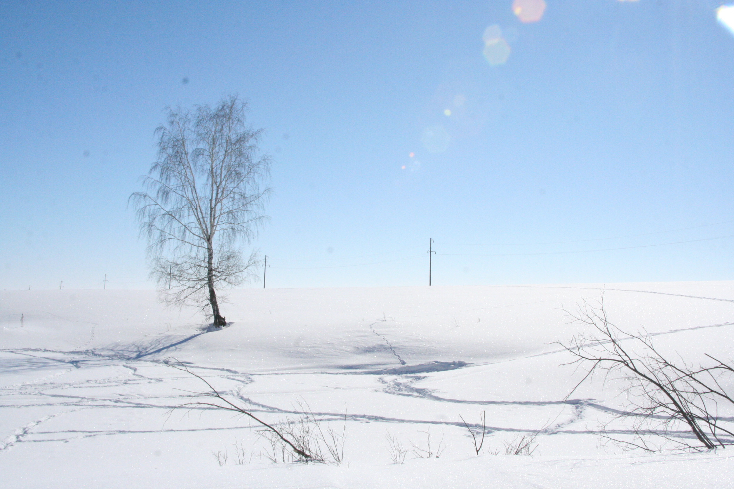 Народные приметы на 23 декабря