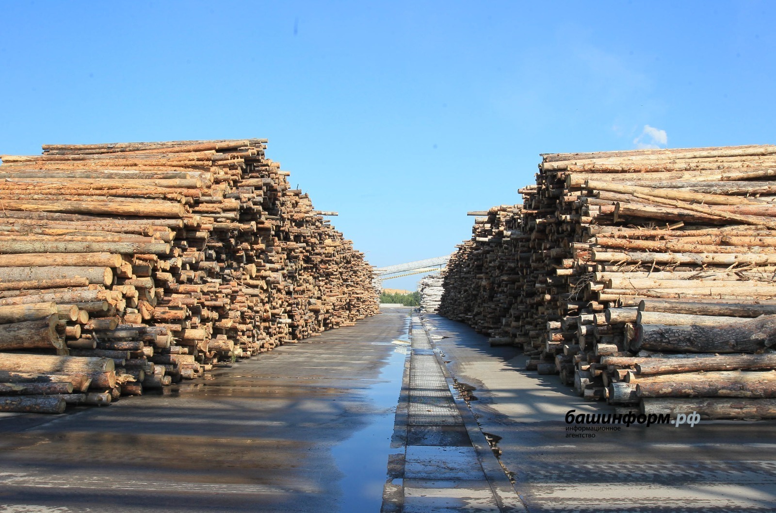 В Башкирии семьи погибших бойцов СВО получат древесину на строительство дома в приоритетном порядке