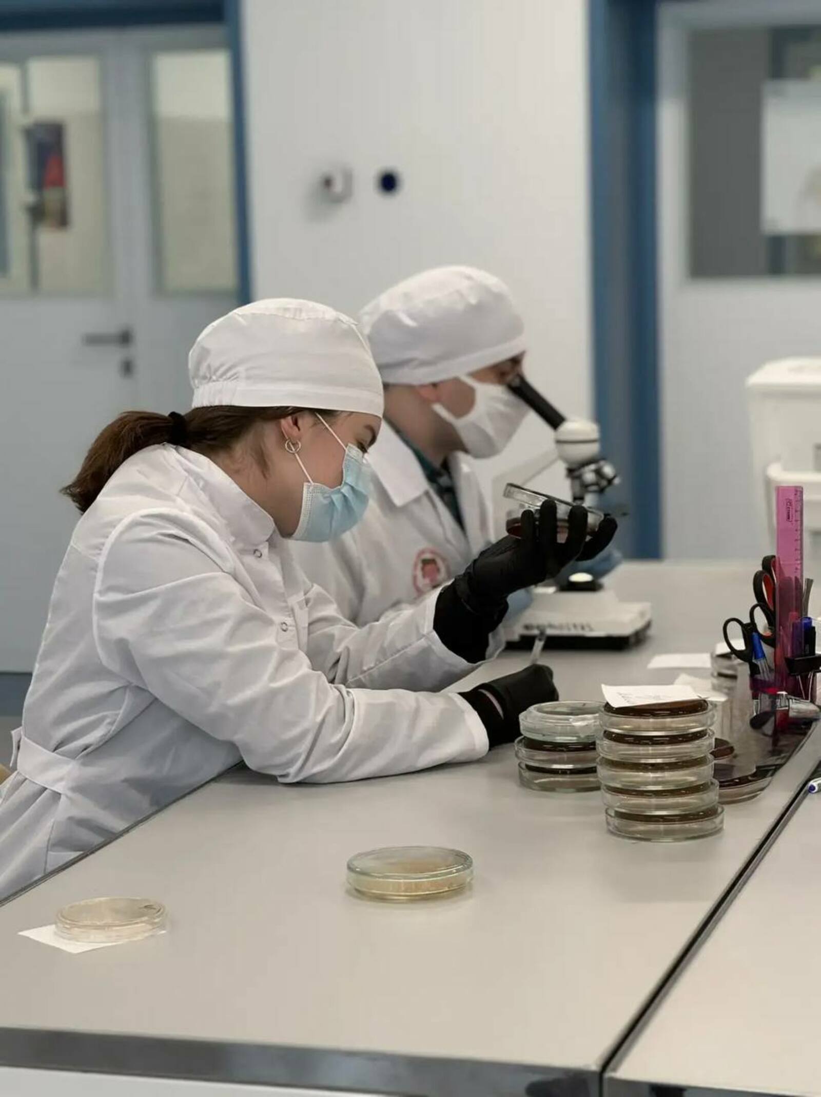 В Уфимском кампусе создали тест-систему для поиска «бактерии стройности»