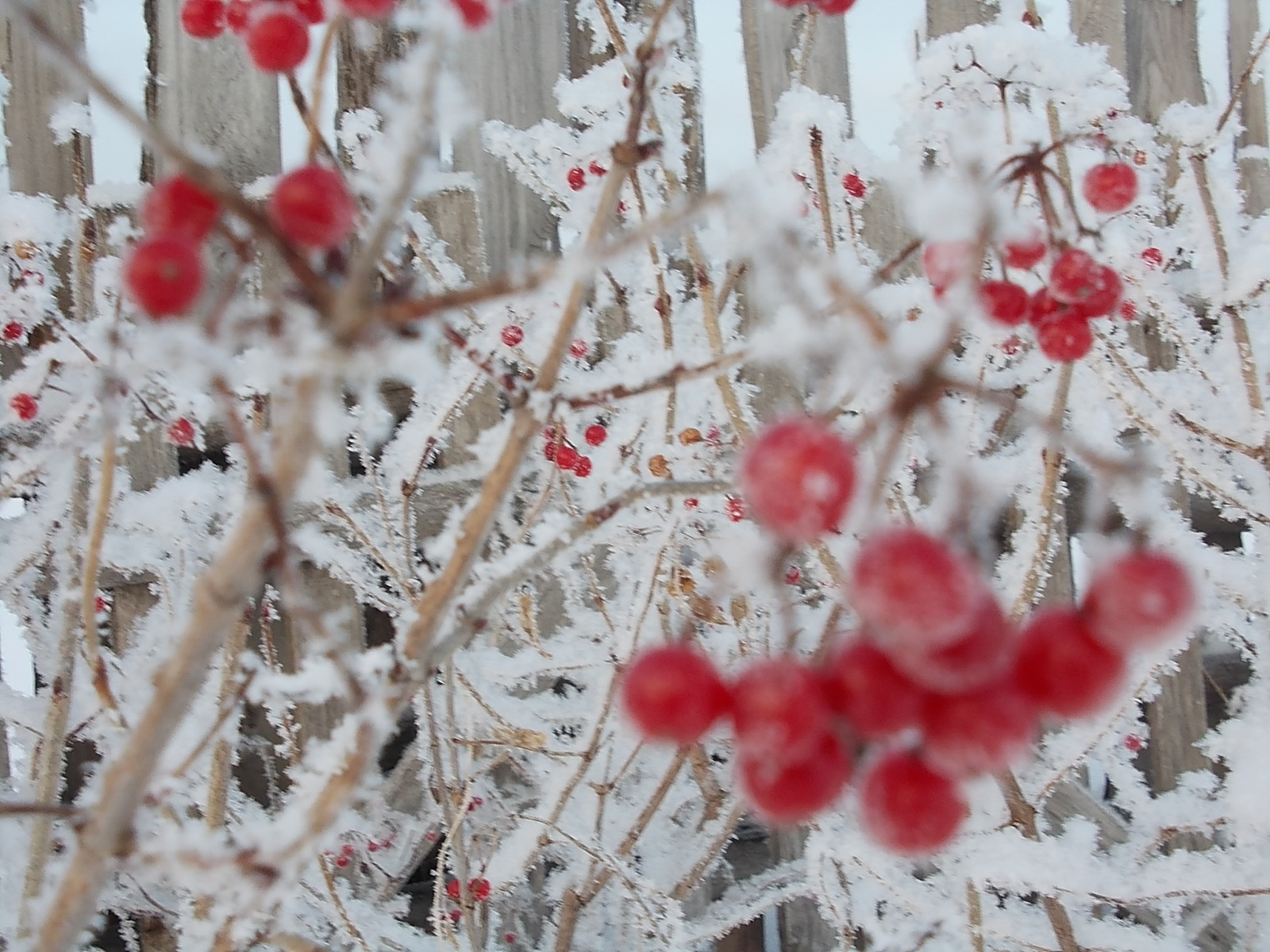 Народные приметы на 12 января