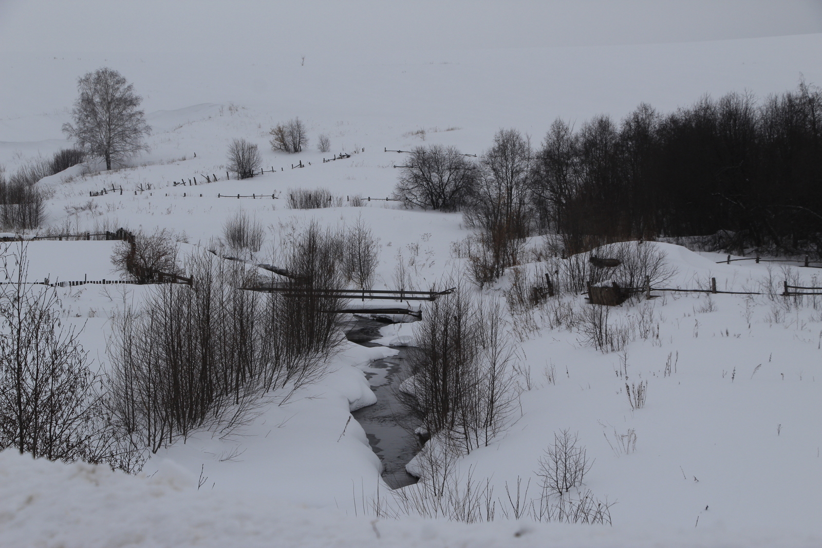 Народные приметы на 26 декабря