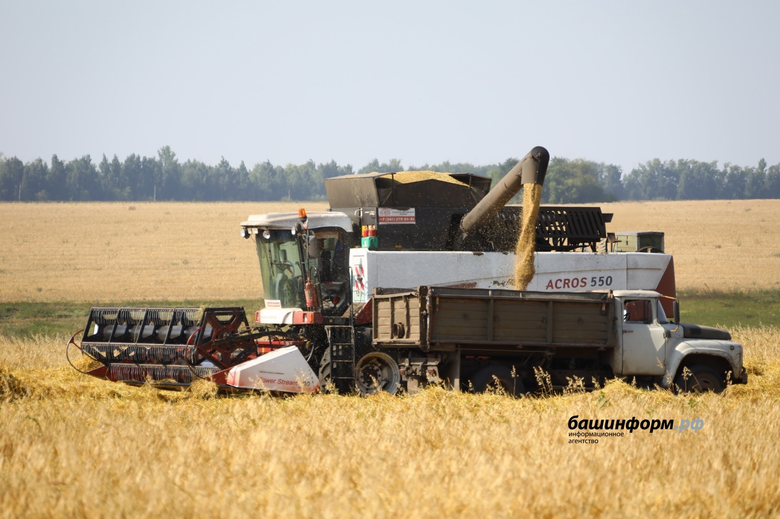 Аграрии России получат 2 млрд рублей федеральных средств на транспортировку сельхозпродукции