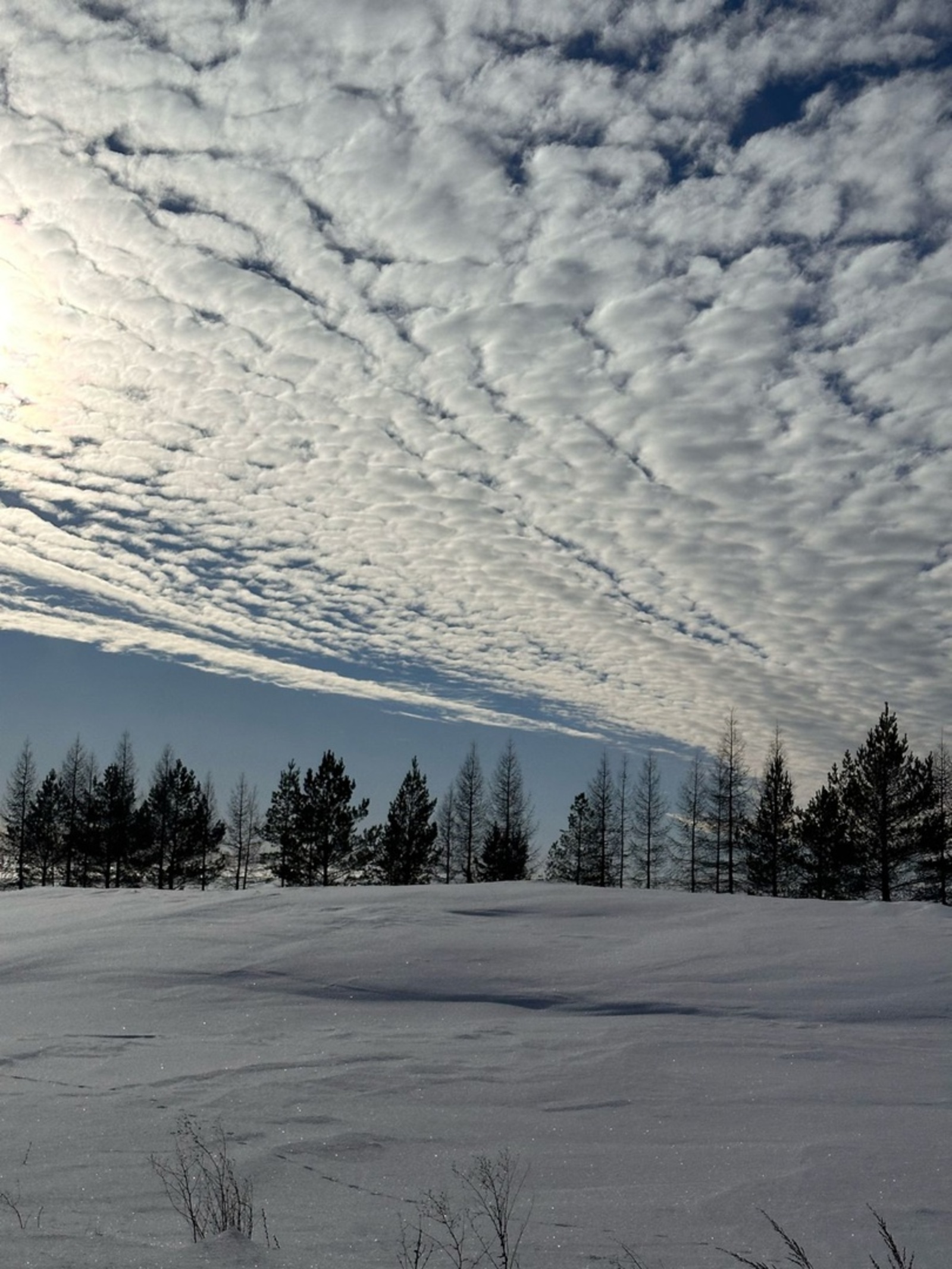 Народные приметы на 24 декабря
