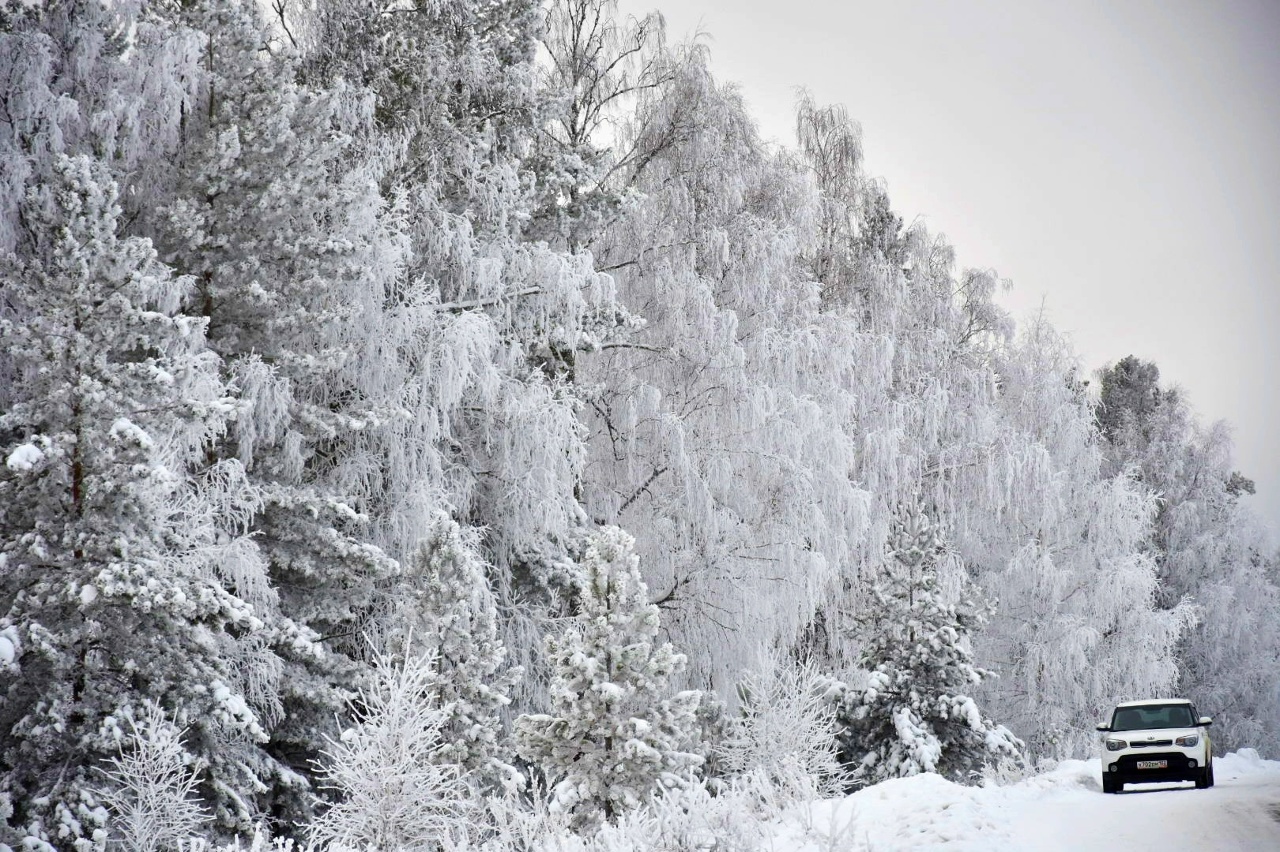 Народные приметы на 13 февраля: