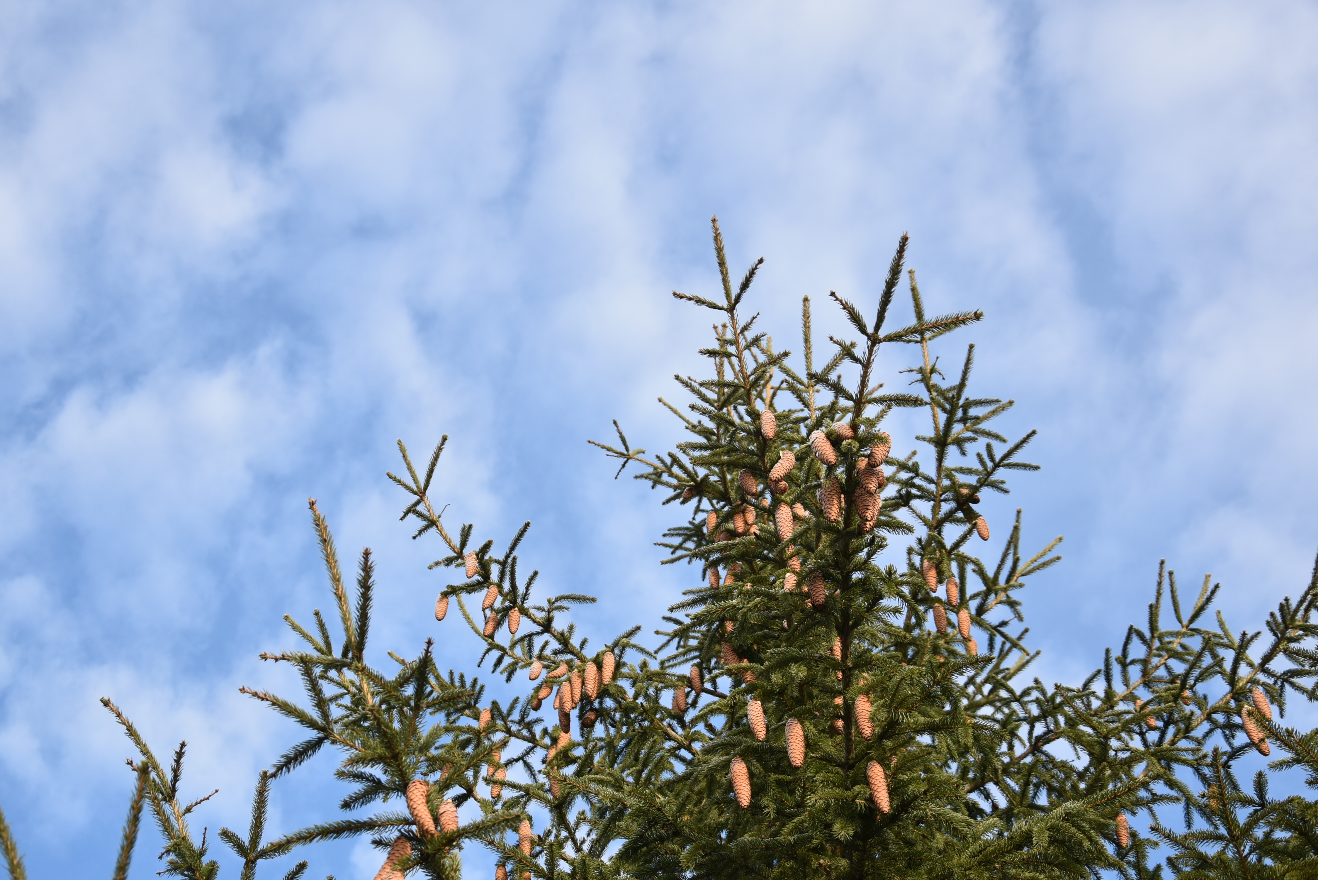 Народные приметы на 5 февраля