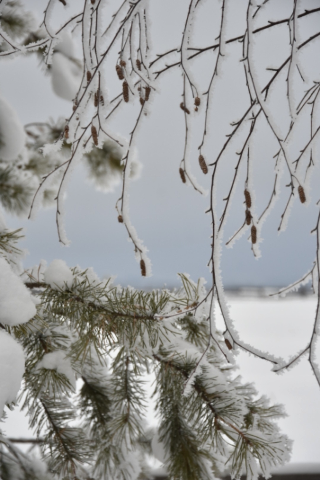 Народные приметы на 16 февраля