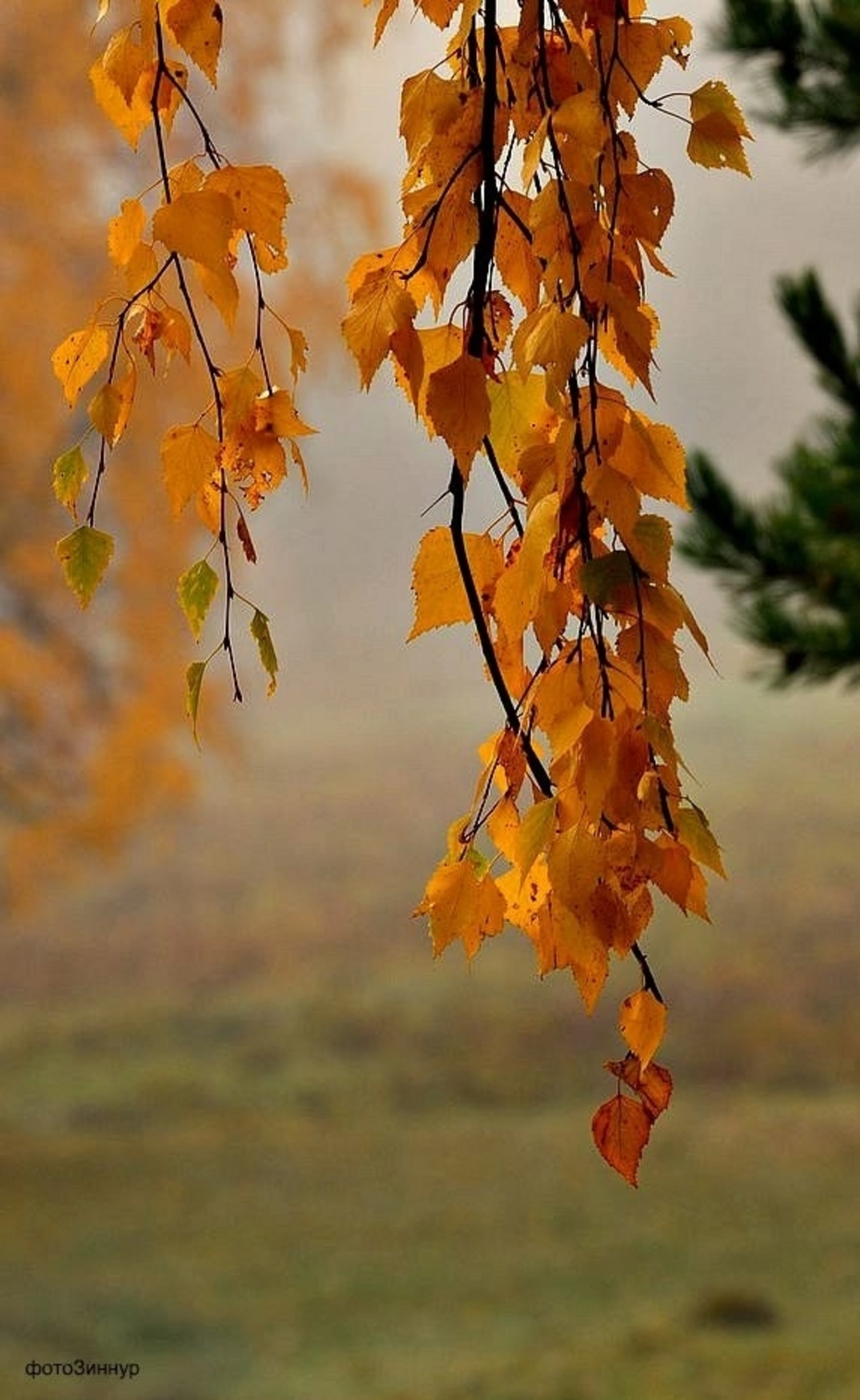 Народные приметы на 4 октября