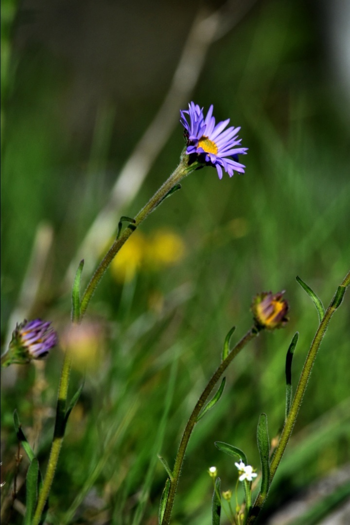 Народные приметы на 21 августа