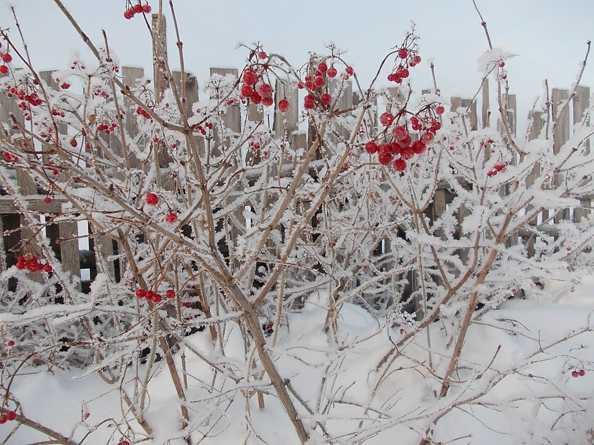 Народные приметы на 25 декабря