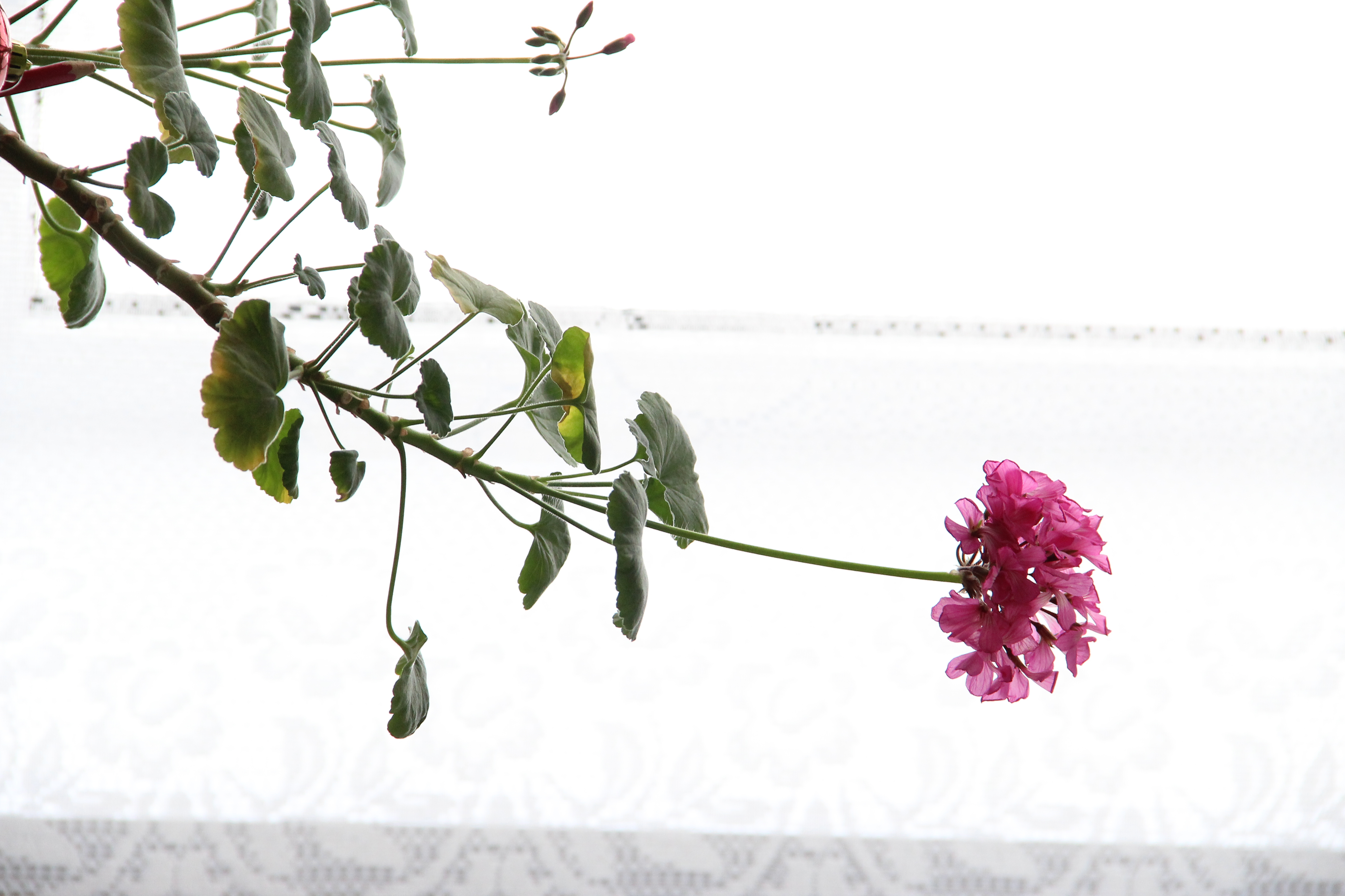 Народные приметы на 2 мая