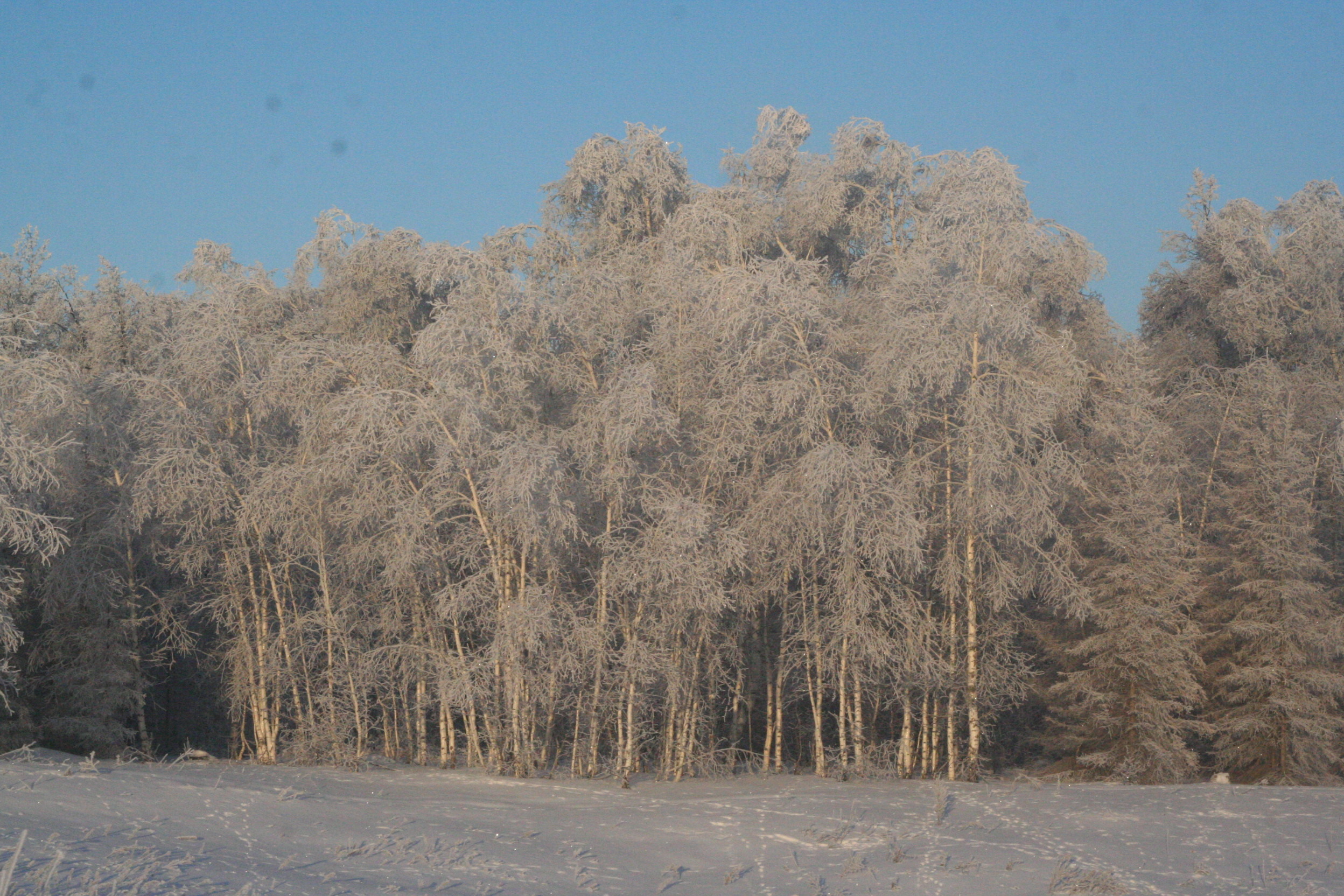 Народные приметы на февраль