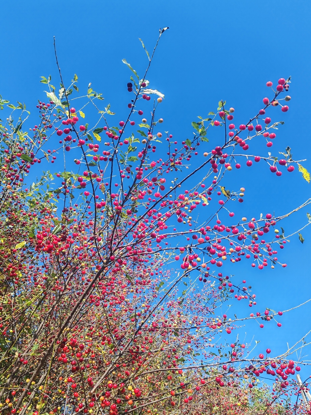 Народные приметы на 15 июля