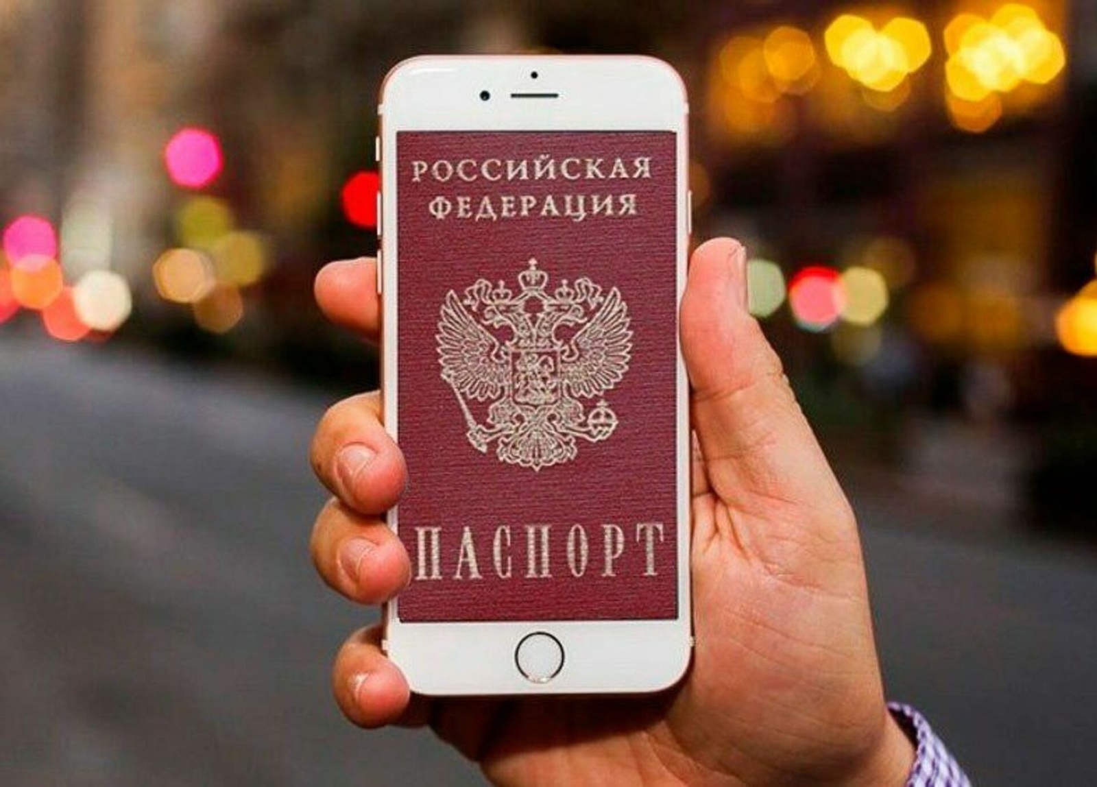 В России разрешили использовать цифровое удостоверение личности